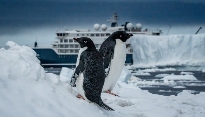 Expedição na Antártica, Swan Hellenic